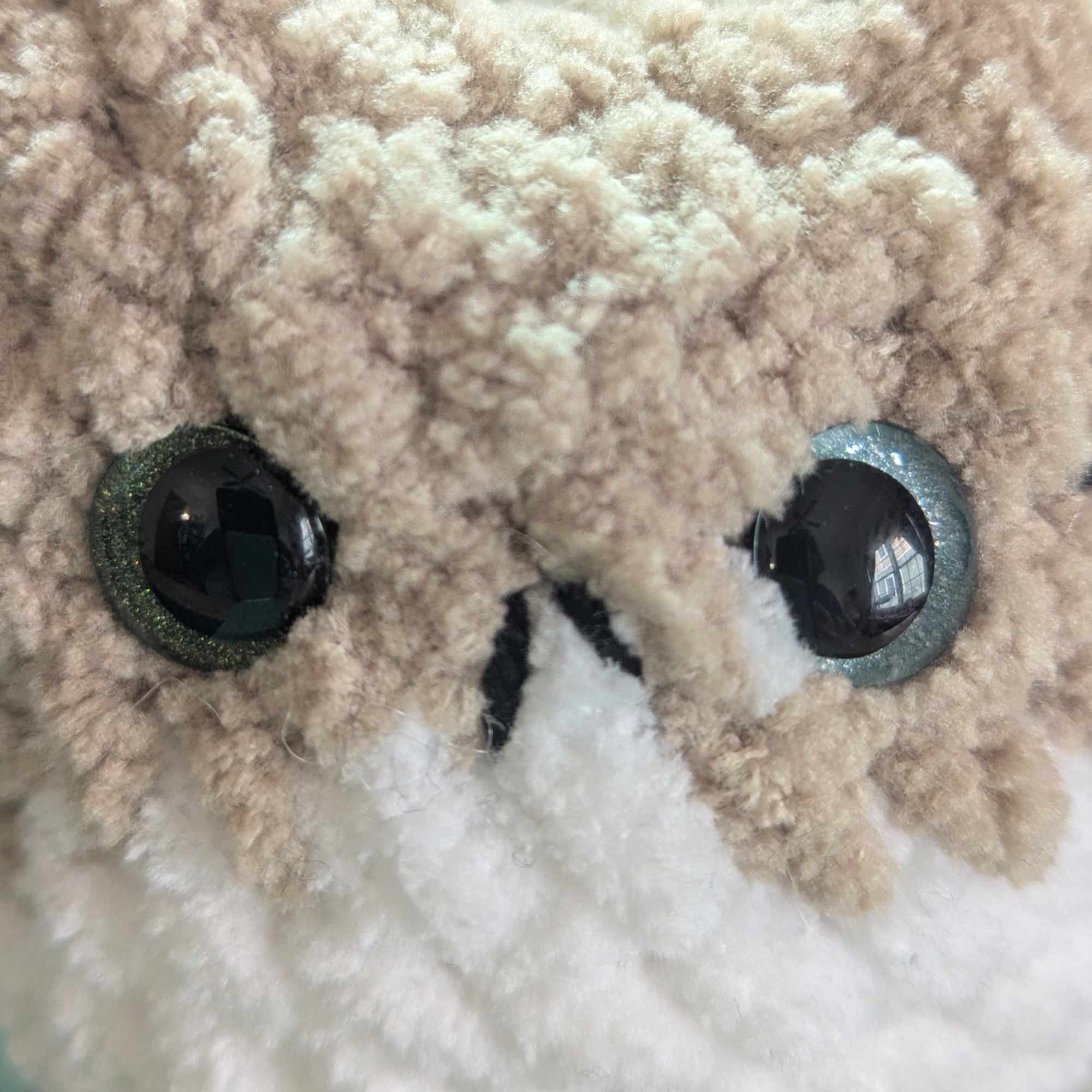 Custom Cat Eye Options - 99% Coffee