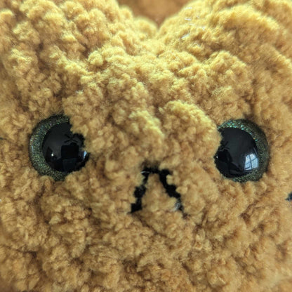 Custom Cat Eye Options - 99% Coffee