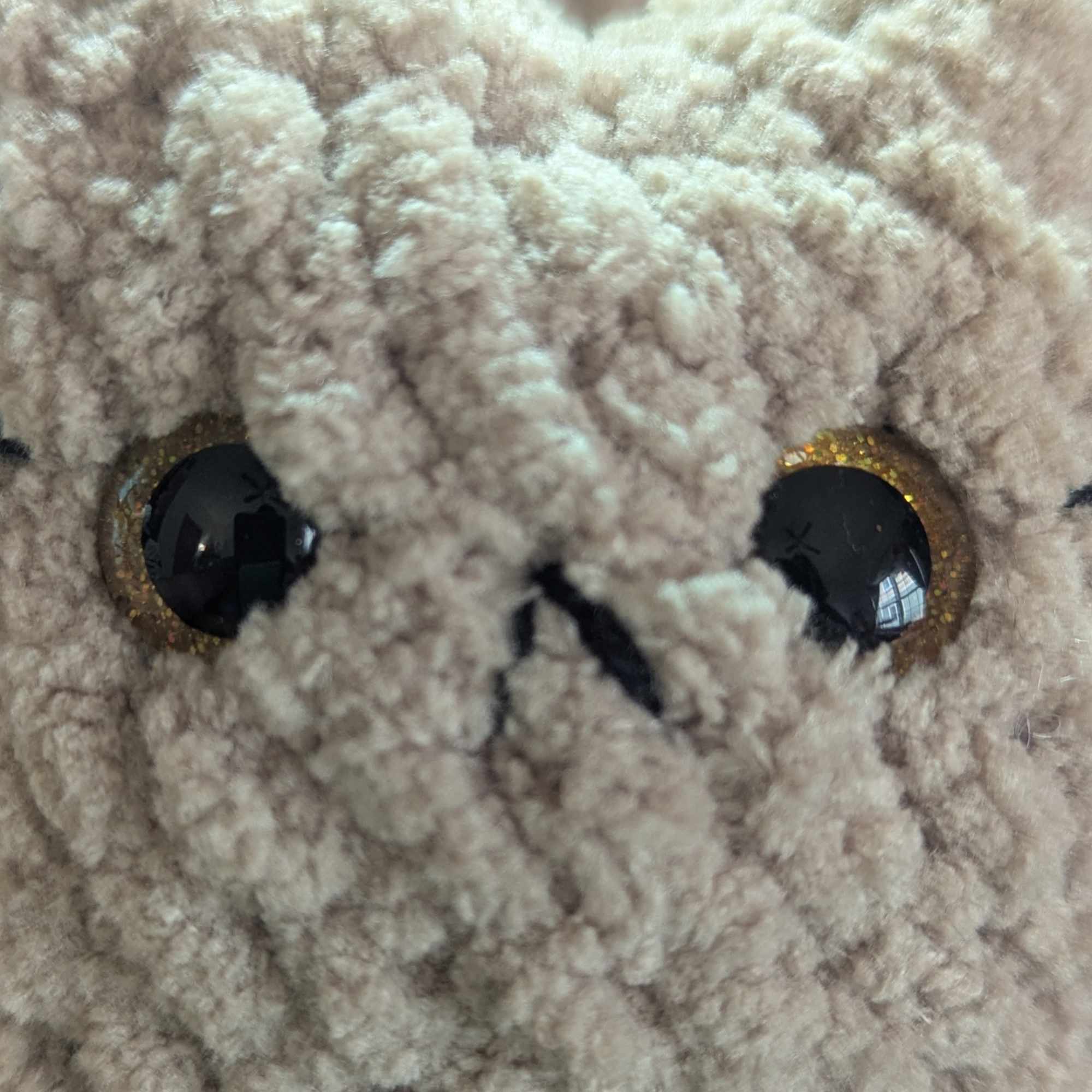 Custom Cat Eye Options - 99% Coffee