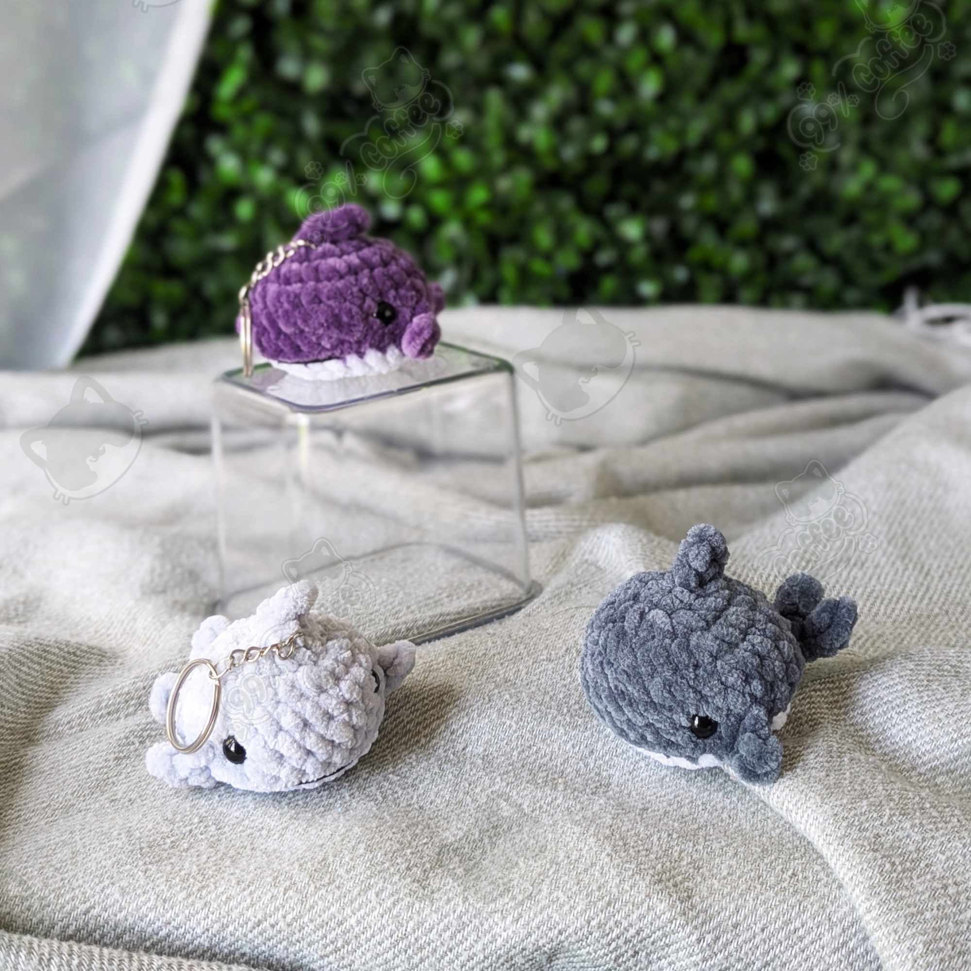 Shark Plushie, Mini
